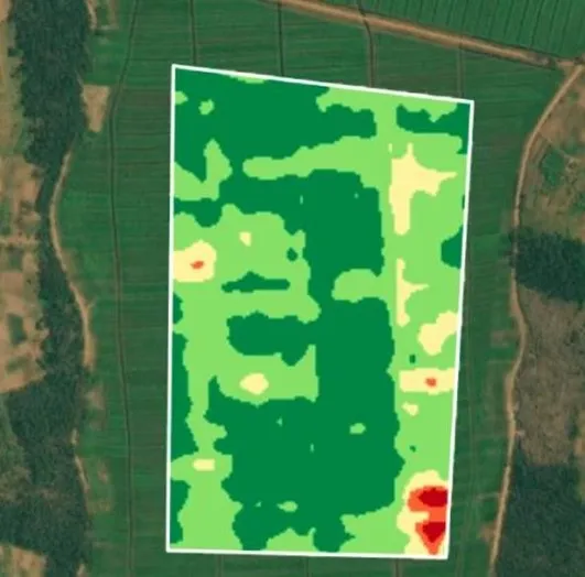 Vegetation Indices for Crop Monitoring ( Precision Agri )